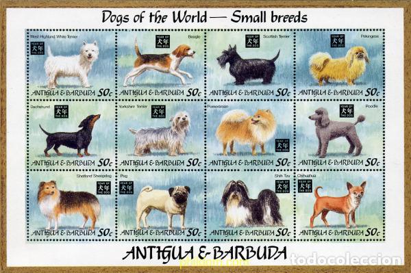 Sellos: 605311 MNH ANTIGUA Y BARBUDA 1994 PERROS DE RAZA
