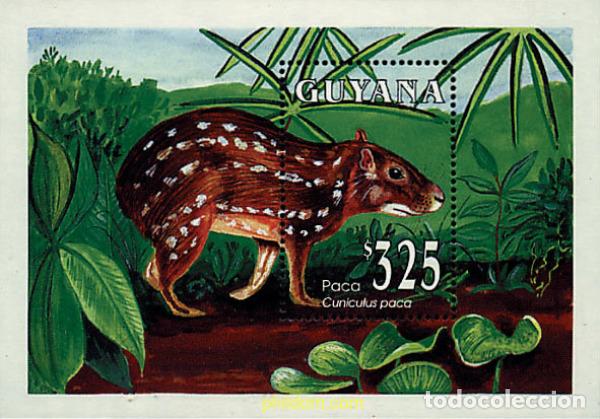 Sellos: 50749 MNH GUYANA 1993 FAUNA SILVESTRE