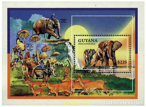 Sellos: 53009 MNH GUYANA 1992 ELEFANTES