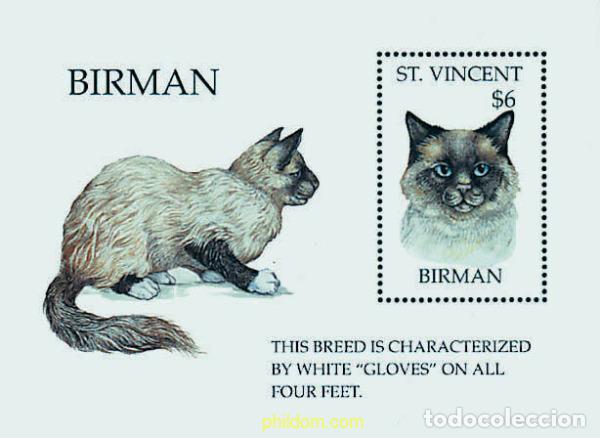 Sellos: 37977 MNH SAN VICENTE 1995 GATOS DEL MUNDO