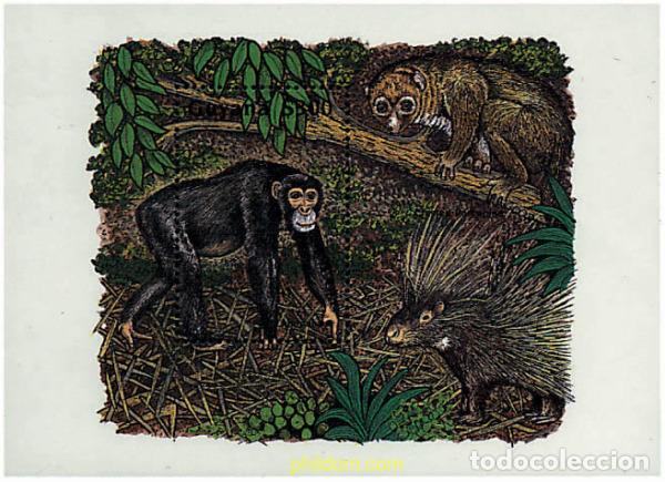 Sellos: 321449 MNH GUYANA 1995 FAUNA AFRICANA