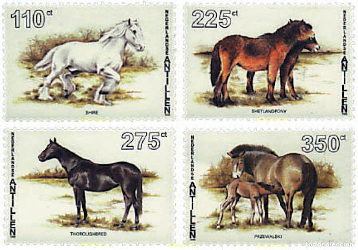 Sellos: 29264 MNH ANTILLAS HOLANDESAS 1996 CABALLOS DE RAZA