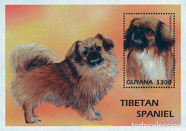 Sellos: 74459 MNH GUYANA 1997 PERROS DE RAZA