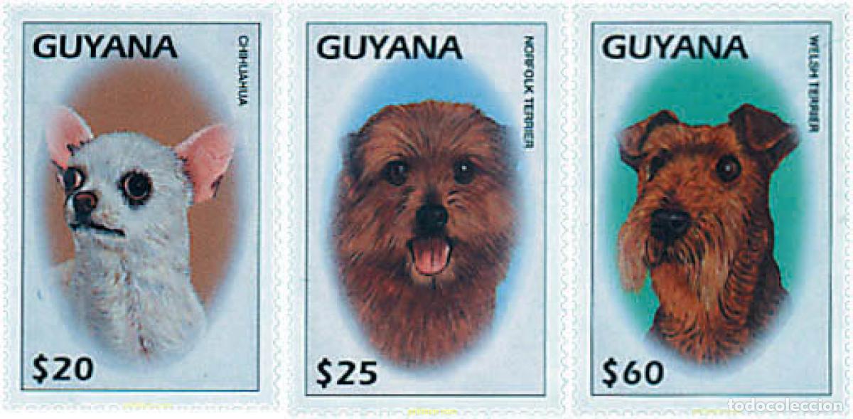 Sellos: 74457 MNH GUYANA 1997 PERROS DE RAZA
