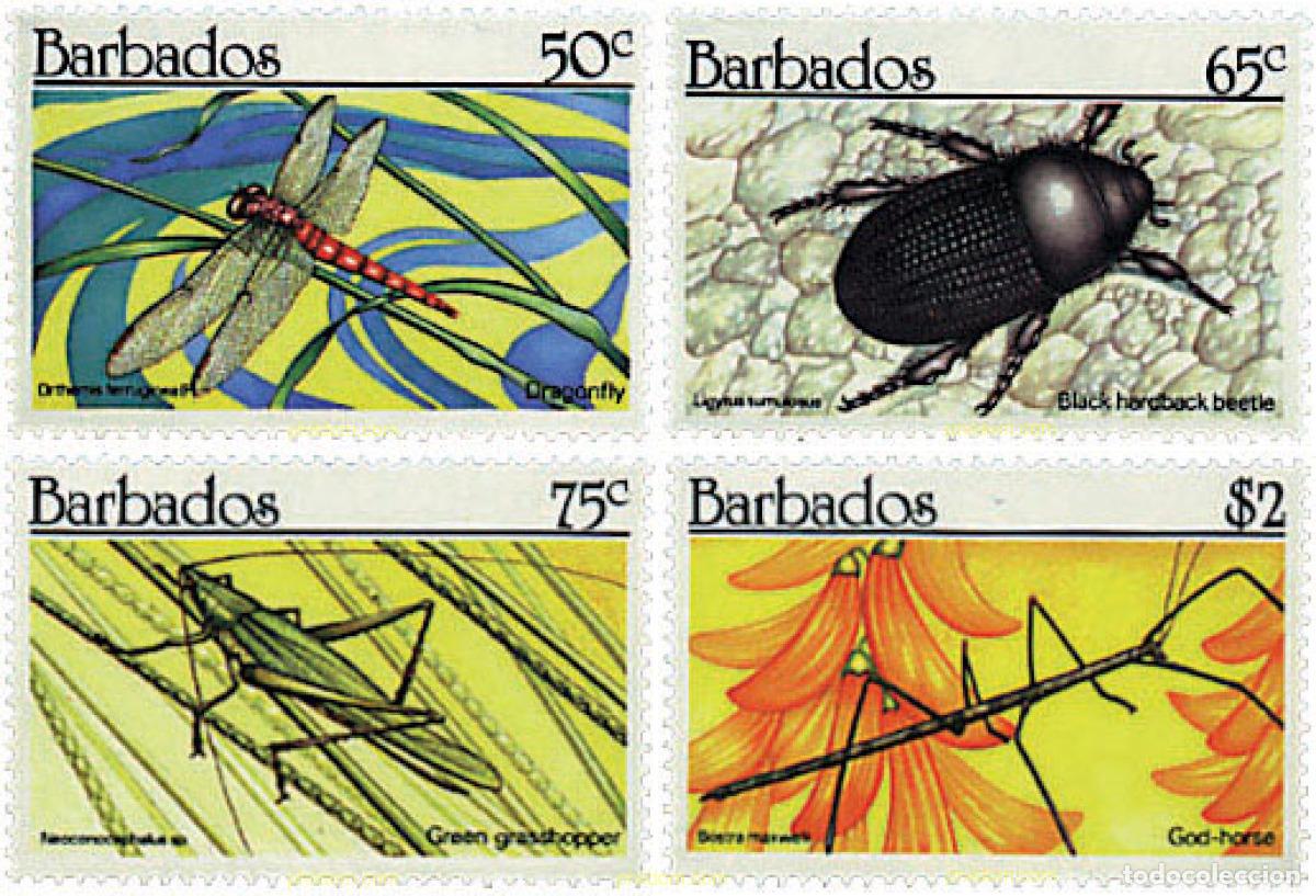 Sellos: 80904 MNH BARBADOS 1990 INSECTOS