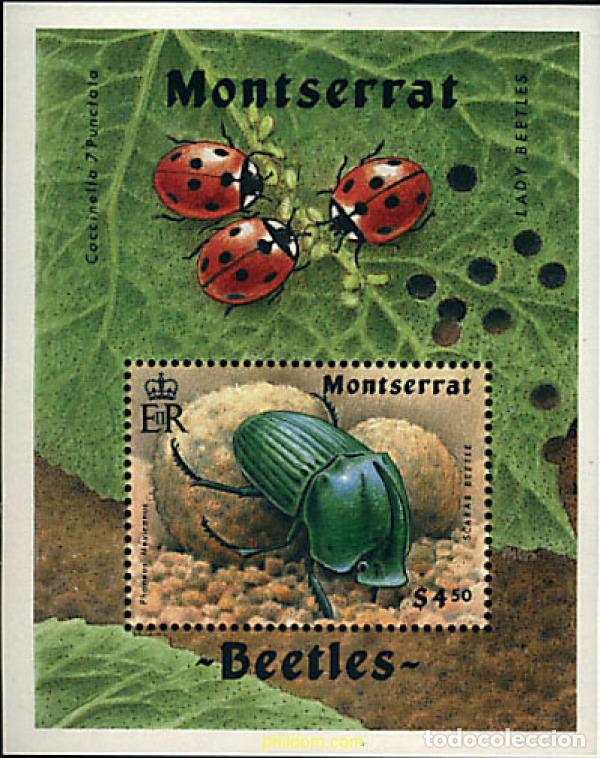Sellos: 93739 MNH MONTSERRAT 1994 INSECTOS
