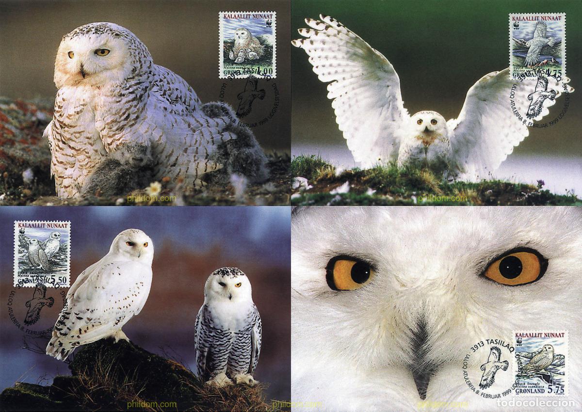 Sellos: 7472 MNH GROENLANDIA 1999 BUHO NIVAL