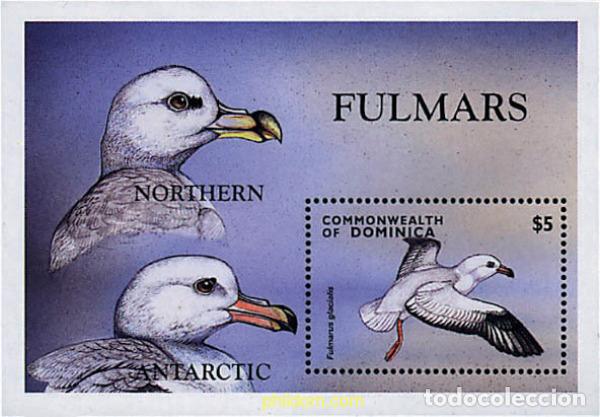 Sellos: 306922 MNH DOMINICA 1998 AVES ACUATICAS