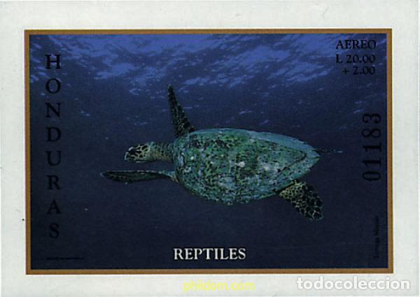 Sellos: 42117 MNH HONDURAS 1998 REPTILES