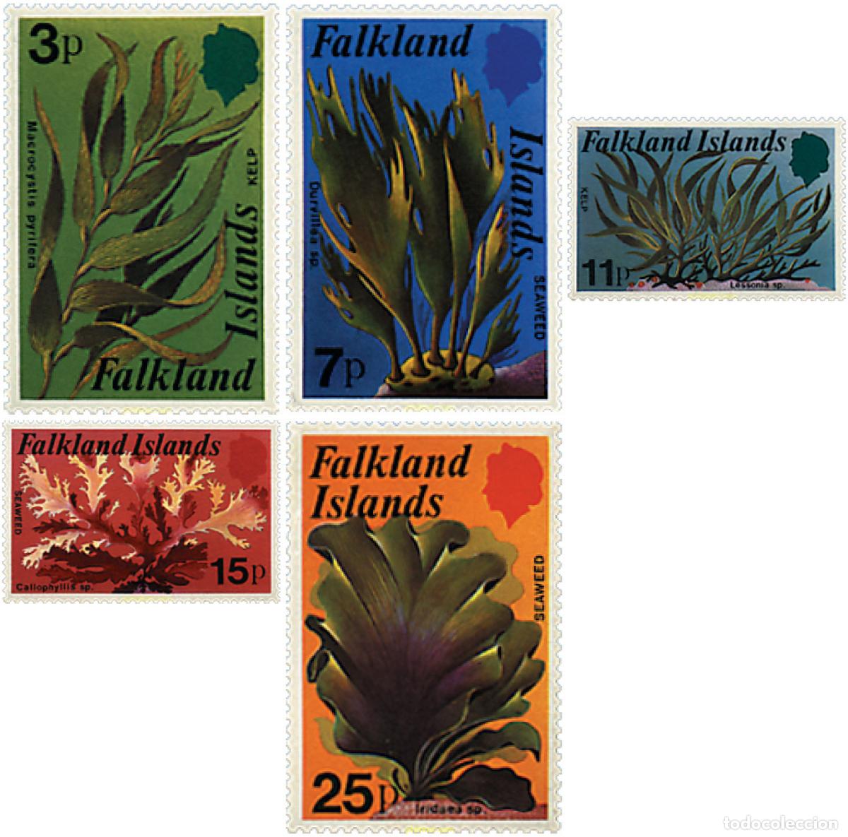 Sellos: 43212 MNH FALKLAND 1979 ALGAS MARINAS
