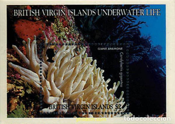 Sellos: 39634 MNH VIRGENES BRITANICAS Islas 1998 VIDA MARINA