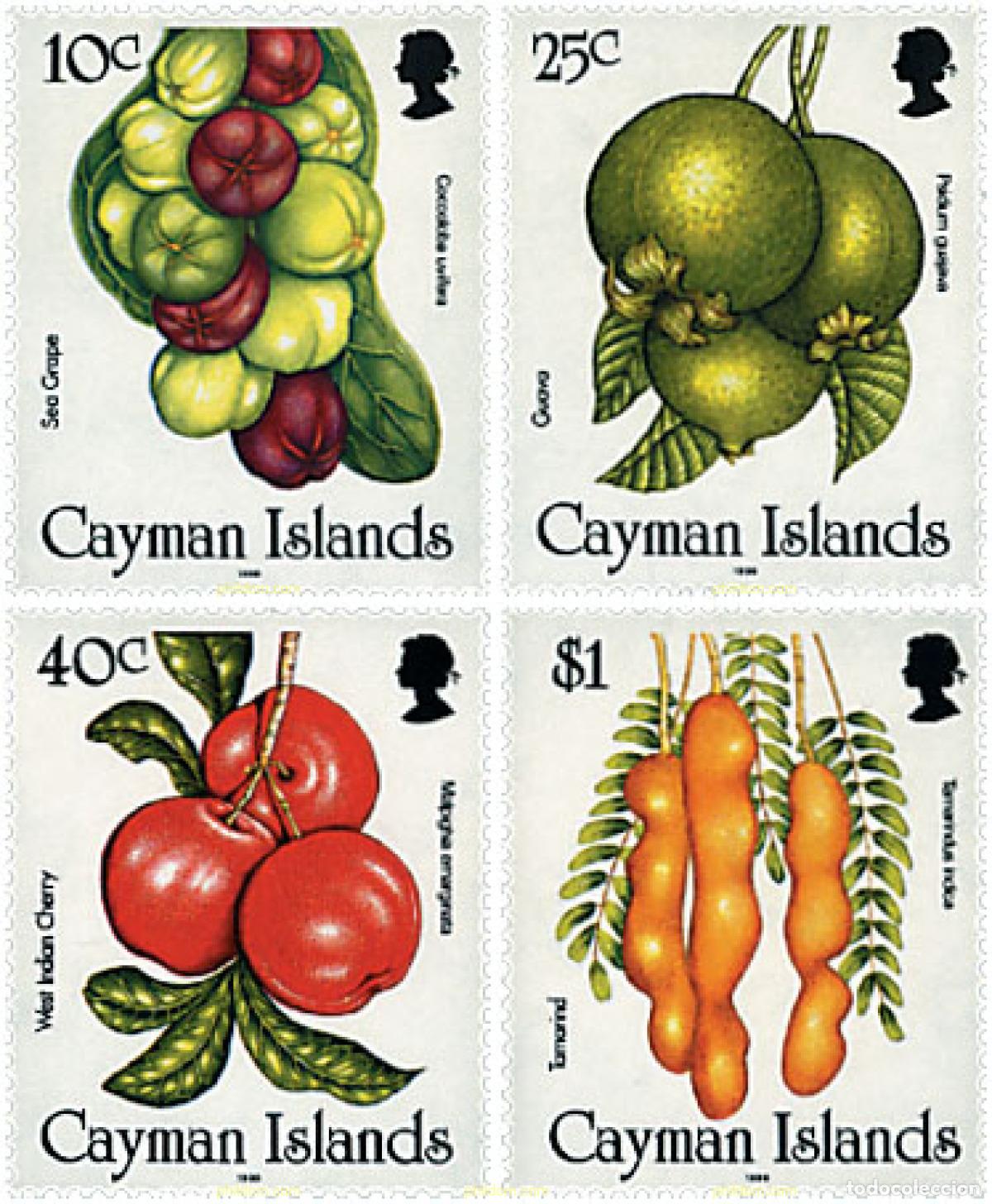 Francobolli: 56897 MNH CAIMAN Islas 1996 FRUTOS SALVAJES