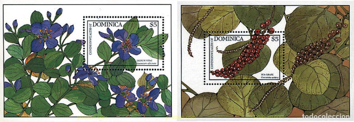 Sellos: 90573 MNH DOMINICA 1988 FLORES Y FRUTOS