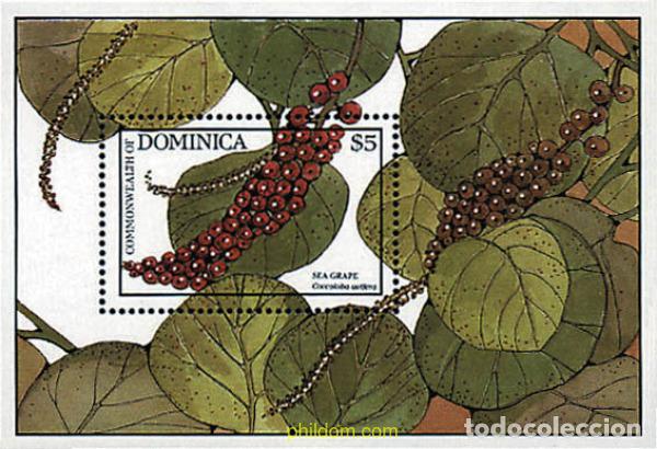 Sellos: 294655 MNH DOMINICA 1988 FLORES Y FRUTOS
