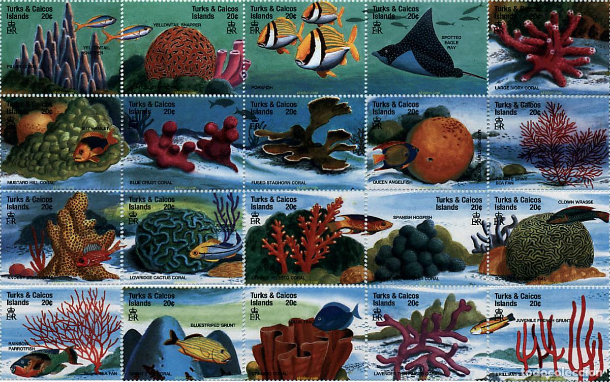 Sellos: 619850 MNH TURKS Y CAICOS 1999 FAUNA MARINA