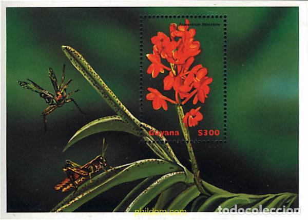 Sellos: 254114 MNH GUYANA 1999 FLORES DEL MUNDO