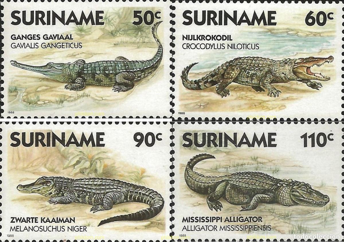 Sellos: 28267 MNH SURINAM 1988 REPTILES
