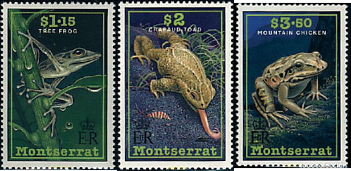 Sellos: 28299 MNH MONTSERRAT 1991 BATRACIOS