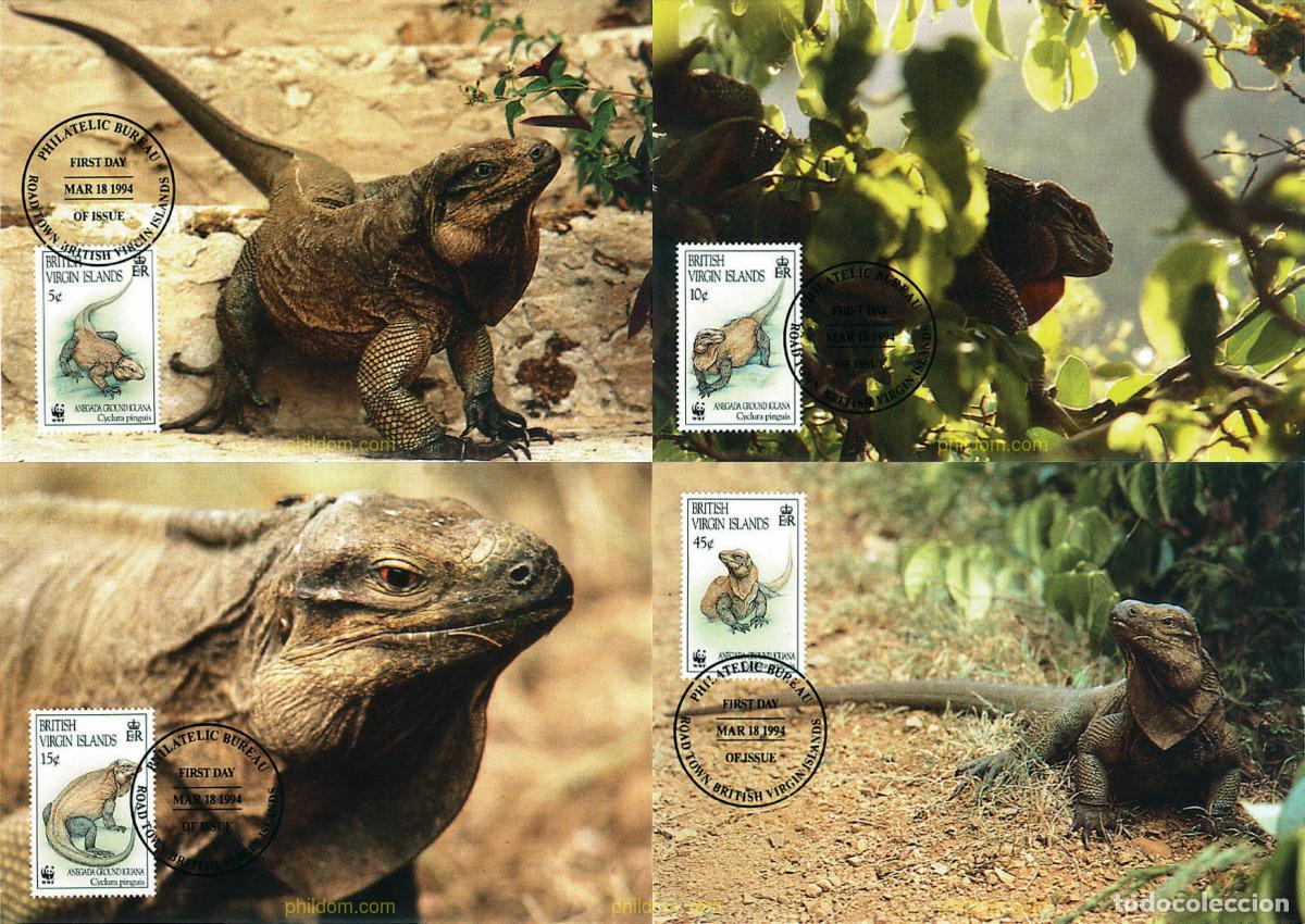 Briefmarken: 7405 MNH VIRGENES BRITANICAS Islas 1994 IGUANA ANEGADA