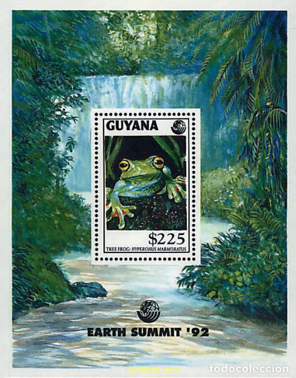 Briefmarken: 51832 MNH GUYANA 1992 CUMBRE DE LA TIERRA