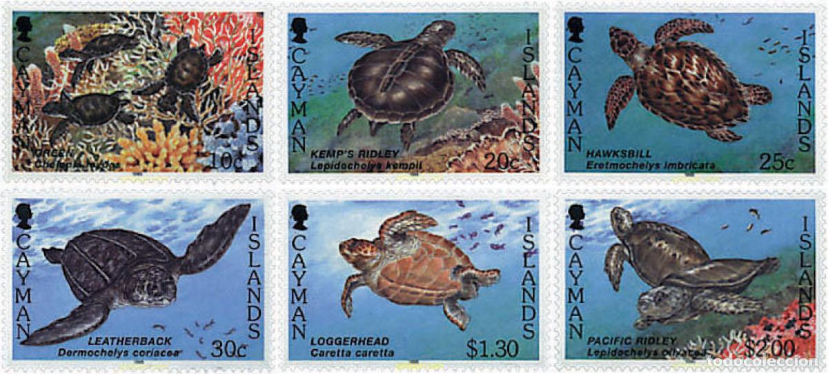 Sellos: 56895 MNH CAIMAN Islas 1995 TORTUGAS MARINAS