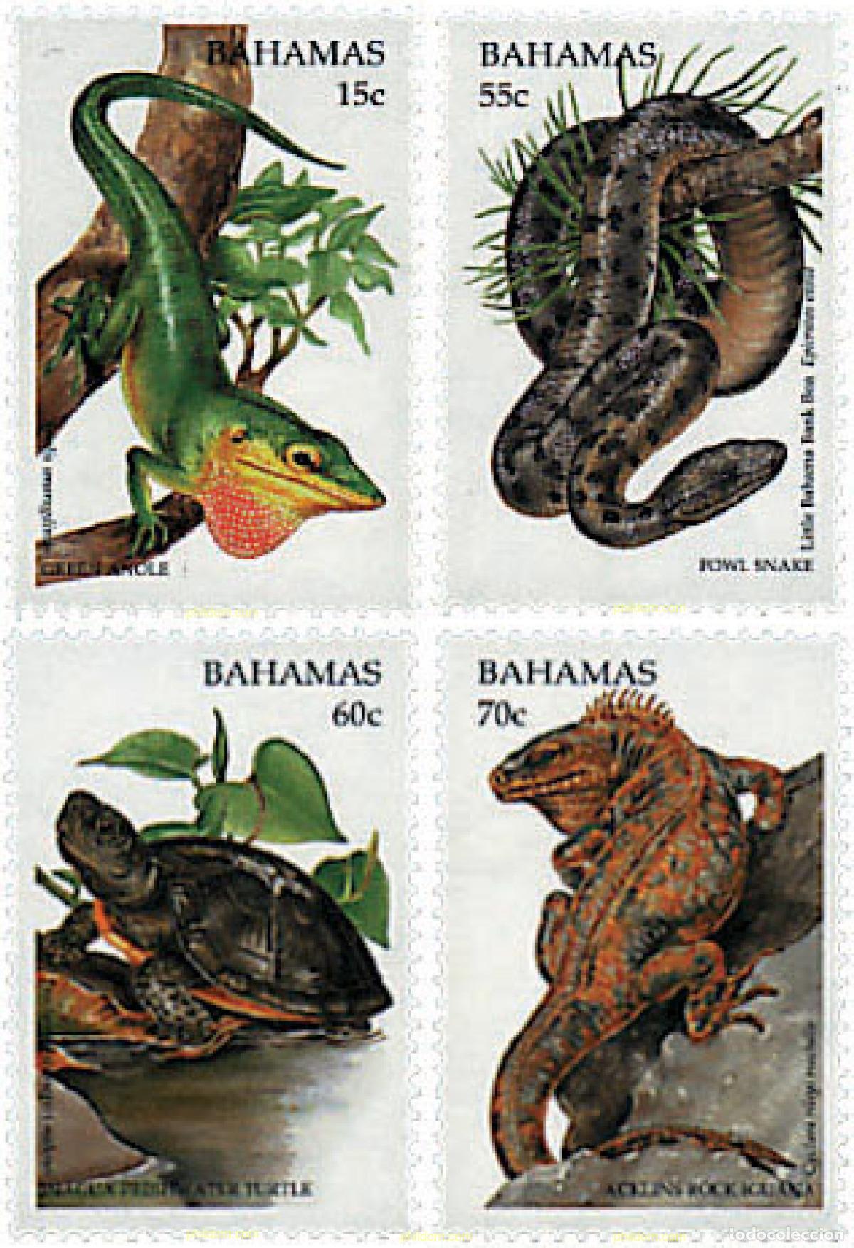 Sellos: 47508 MNH BAHAMAS 1996 PROTECCION DEL MEDIO AMBIENTE