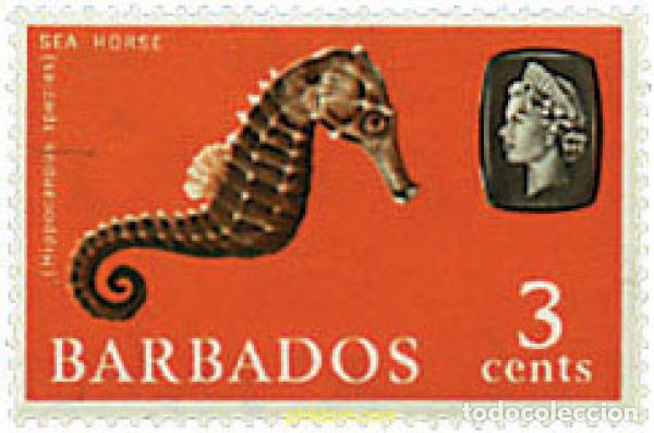 Sellos: 290146 MNH BARBADOS 1965 FAUNA MARINA