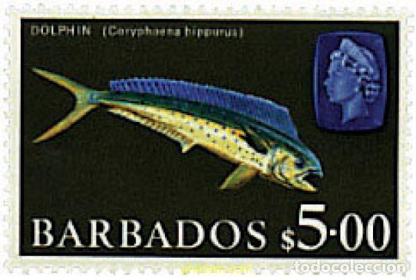 Sellos: 290147 MNH BARBADOS 1965 FAUNA MARINA