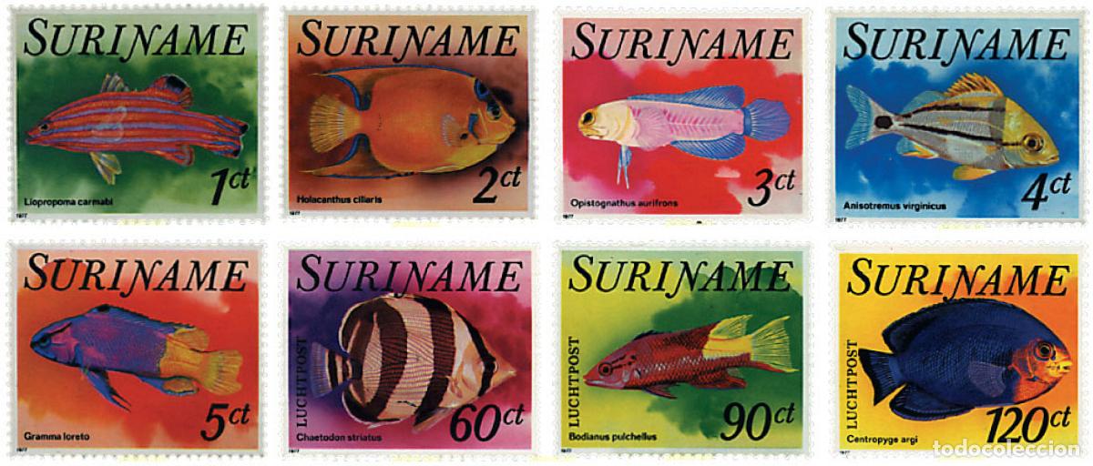 Sellos: 91220 MNH SURINAM 1977 PECES TROPICALES