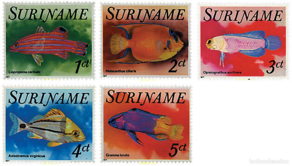 Sellos: 632572 MNH SURINAM 1977 PECES TROPICALES