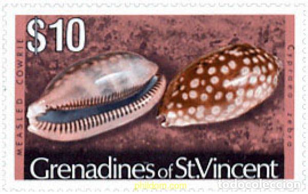 Sellos: 52848 MNH SAN VICENTE GRANADINAS 1976 CONCHA