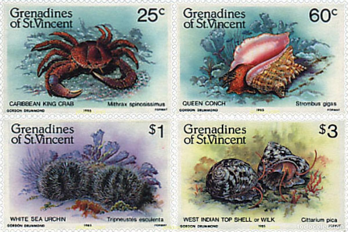 Sellos: 36710 MNH SAN VICENTE GRANADINAS 1985 CONCHAS Y MOLUSCOS