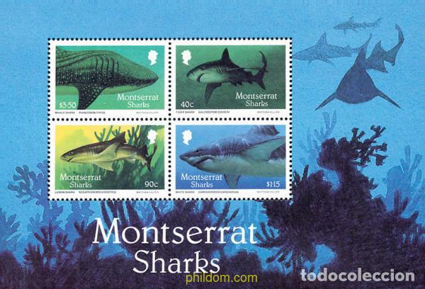Sellos: 76537 MNH MONTSERRAT 1987 TIBURONES