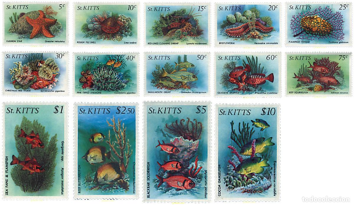 Sellos: 28476 MNH SAN KITTS 1984 FAUNA MARINA