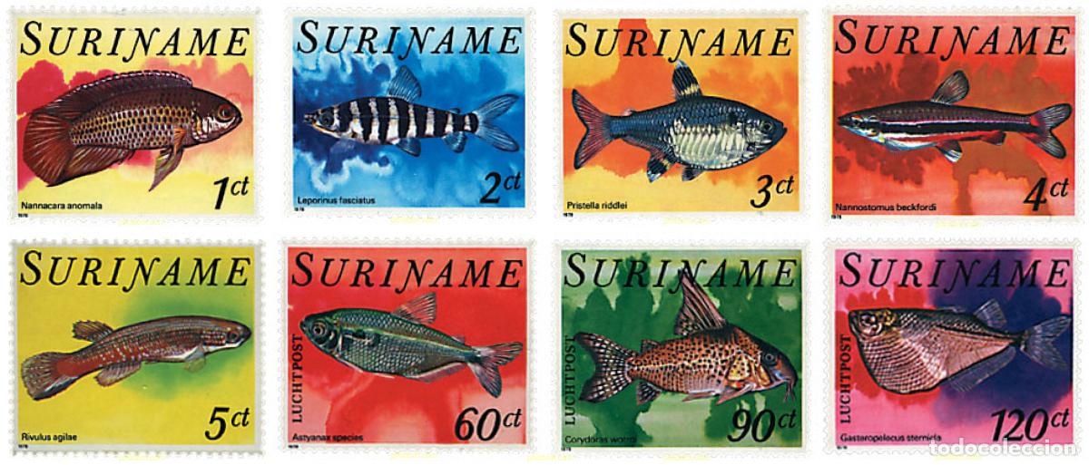 Sellos: 91225 MNH SURINAM 1978 PECES TROPICALES