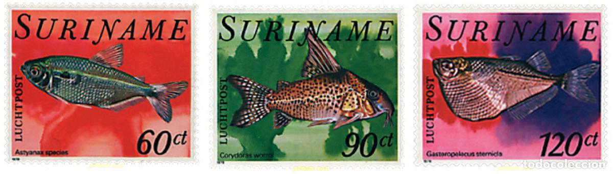 Sellos: 207562 MNH SURINAM 1978 PECES TROPICALES