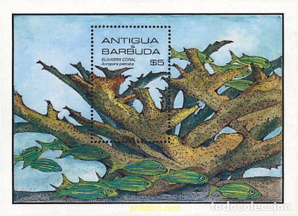 Sellos: 46763 MNH ANTIGUA Y BARBUDA 1985 FAUNA MARINA