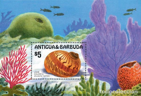 Sellos: 46783 MNH ANTIGUA Y BARBUDA 1986 CONCHAS