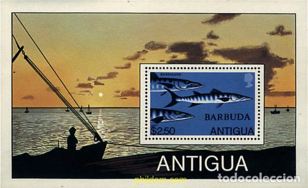 Sellos: 48620 MNH BARBUDA 1979 PESCA DEPORTIVA