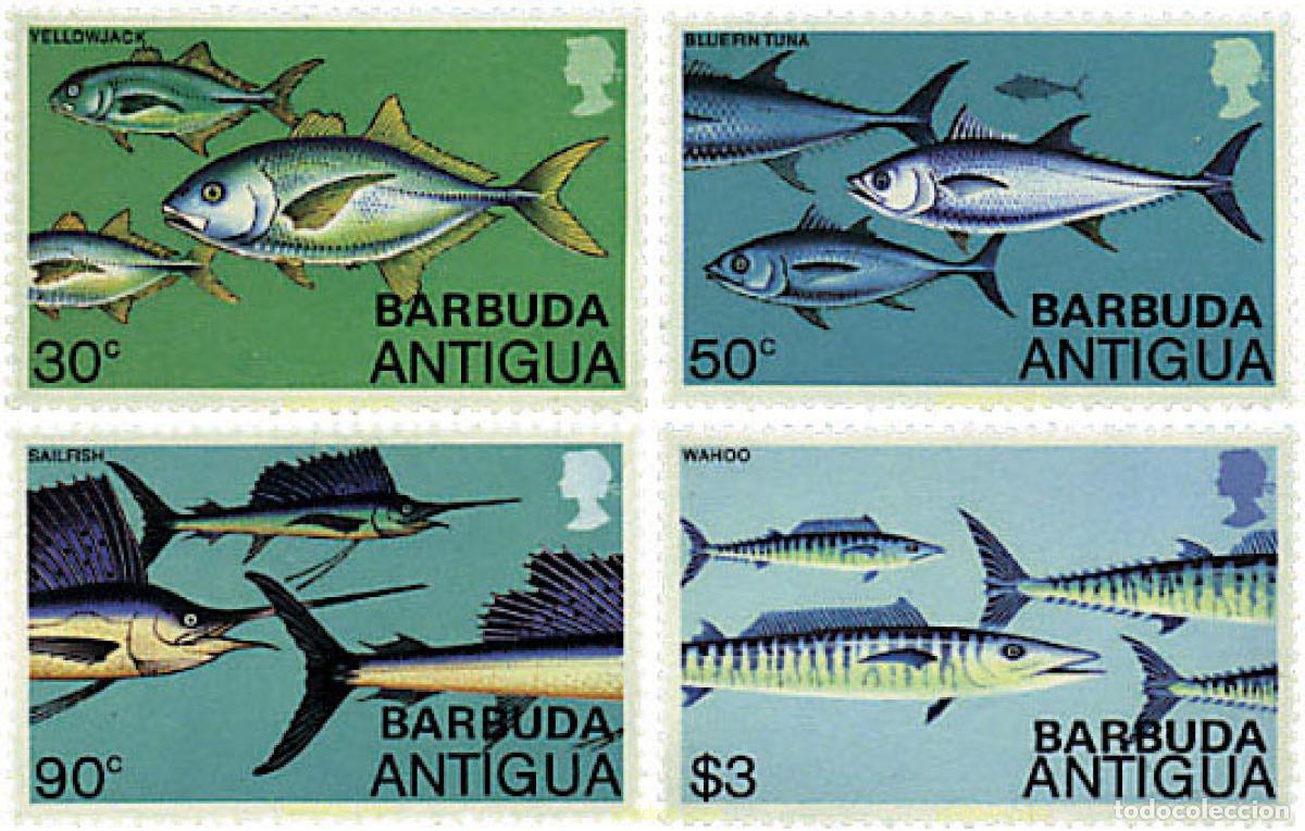 Sellos: 48621 MNH BARBUDA 1979 PESCA DEPORTIVA