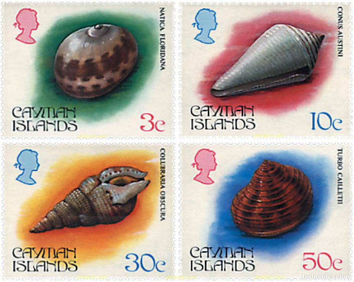Sellos: 53164 MNH CAIMAN Islas 1984 FAUNA. CONCHAS