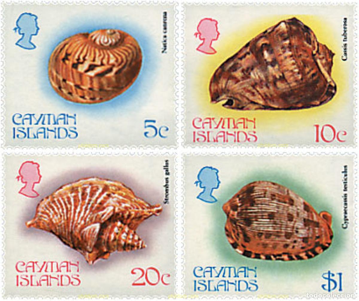 Sellos: 32580 MNH CAIMAN Islas 1983 FAUNA MARINA. CONCHAS