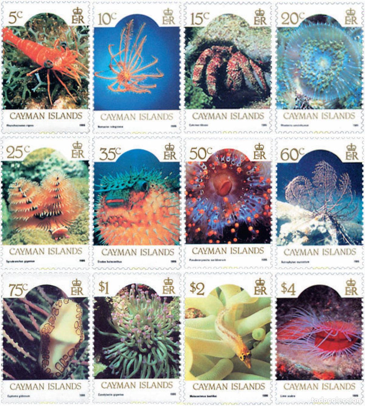 Sellos: 28498 MNH CAIMAN Islas 1986 MOTIVOS VARIOS. FAUNA MARINA