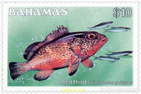 Sellos: 289794 MNH BAHAMAS 1986 PECES