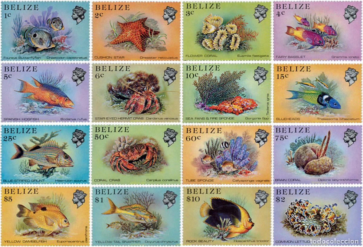 Sellos: 28494 MNH BELIZE 1984 FAUNA MARINA