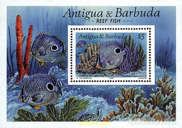 Sellos: 286524 MNH ANTIGUA Y BARBUDA 1990 PECES DE LOS ARRECIFES DE CORAL