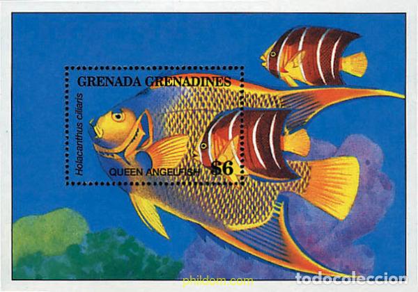 Sellos: 320231 MNH GRANADA GRANADINAS 1994 FAUNA MARINA