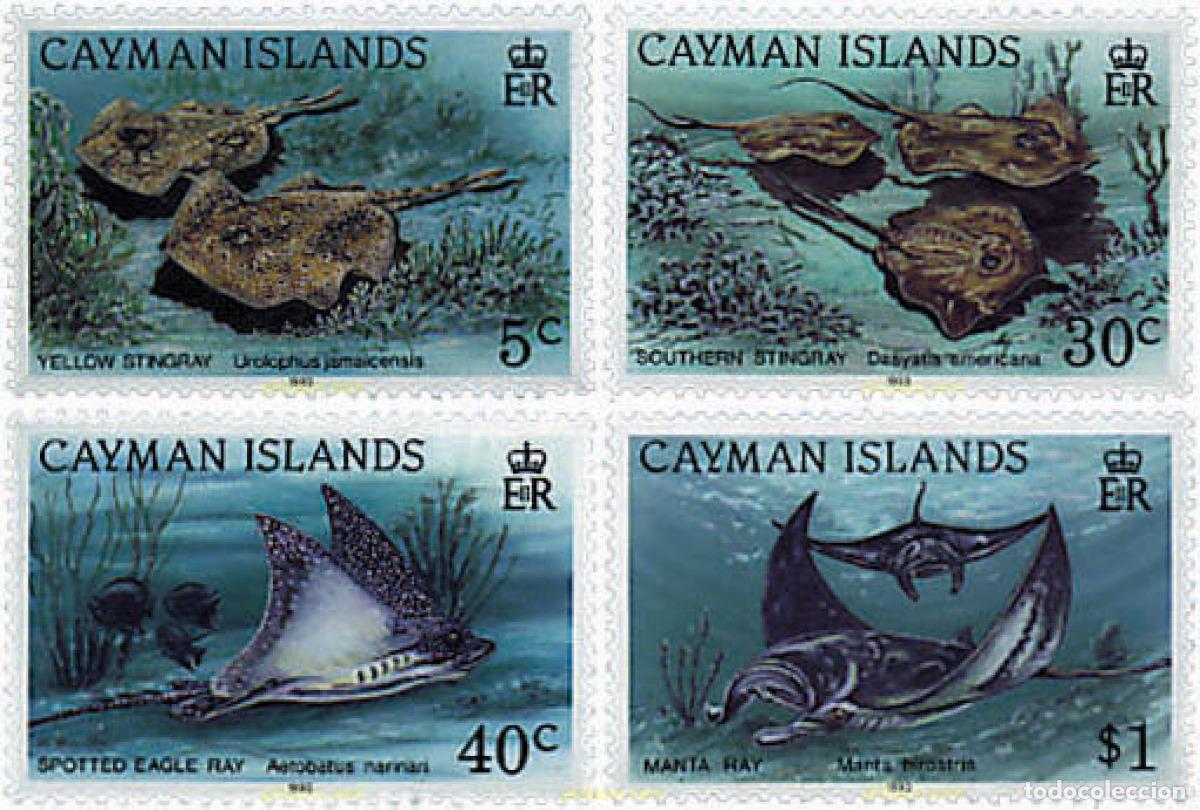 Sellos: 73651 MNH CAIMAN Islas 1993 FAUNA MARINA