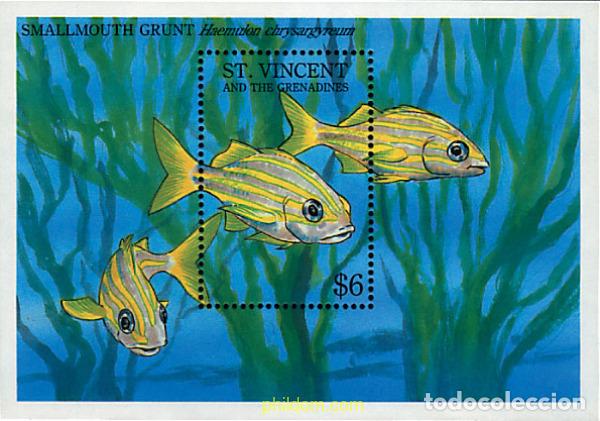 Sellos: 360403 MNH SAN VICENTE 1993 FAUNA MARINA