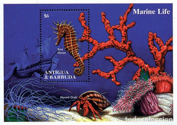 Sellos: 286588 MNH ANTIGUA Y BARBUDA 1994 VIDA MARINA